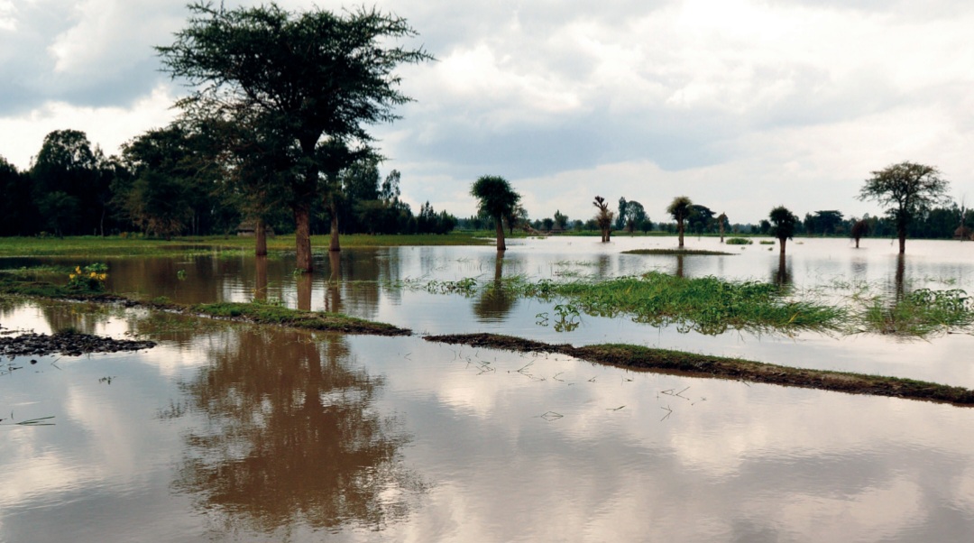 Campagne agricole: des pluies abondantes, mais aussi  des sinistres